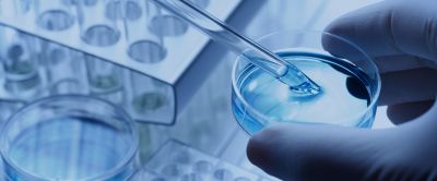 Advanced production technology and strict quality control system